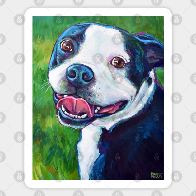 Smiling BOSTON TERRIER Sticker by RobertPhelpsArt